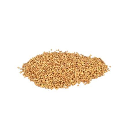 Spices Coriander Seeds | Batavia - 1kg (kg)