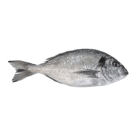 Fresh Fish Sea Bream 6G (2000-2500) FARM | Marmari - Τσιπούρα (kg)