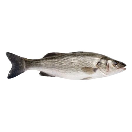 Fresh Fish Sea Bass 2G (600-800) FARM | Marmari -  Λαυράκι (kg)