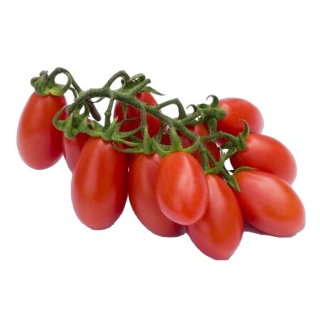 Fresh Vegetables Tomatoes Datterino | Alekos (kg)